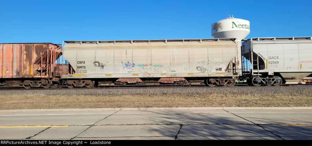CEFX 10973
